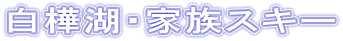 ΁EƑXL[ 